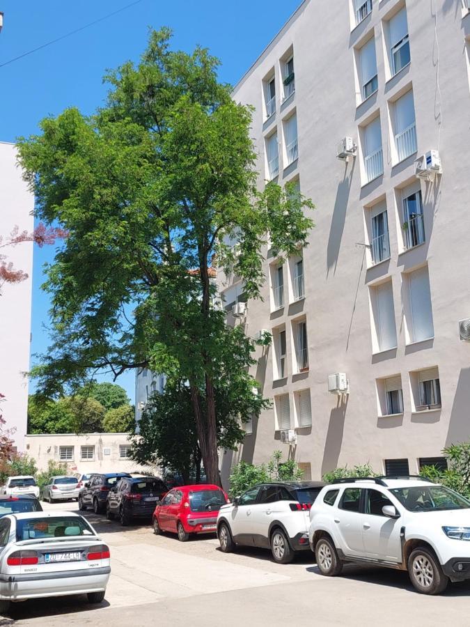 Marinero Apartment Zadar Ngoại thất bức ảnh